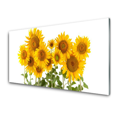 Moderní skleněný obraz Slunečnice Květiny