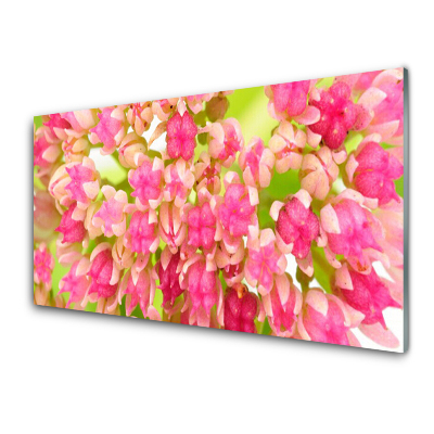 Skleněný obraz na zeď Poupata lotosových květů