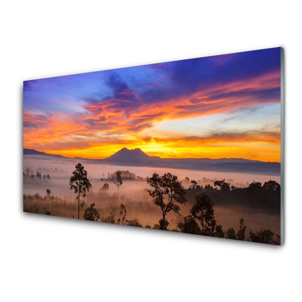 Moderní skleněný obraz Stromy Mlha Krajina