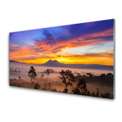Moderní skleněný obraz Stromy Mlha Krajina