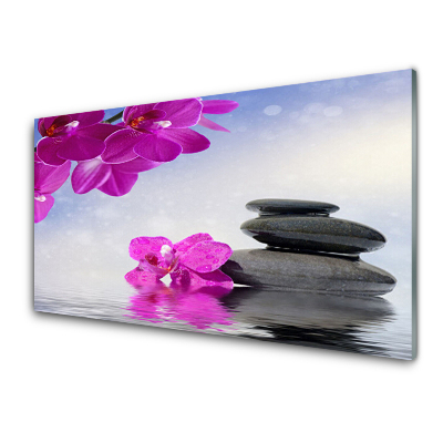 Moderní skleněný obraz Květina Růžová orchidej