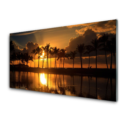 Skleněný obraz na zeď Palmy na pozadí západu slunce