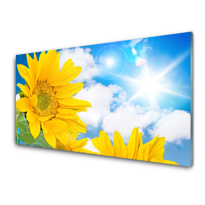 Luxusní skleněný obraz Záběr zblízka na žluté květiny obloha