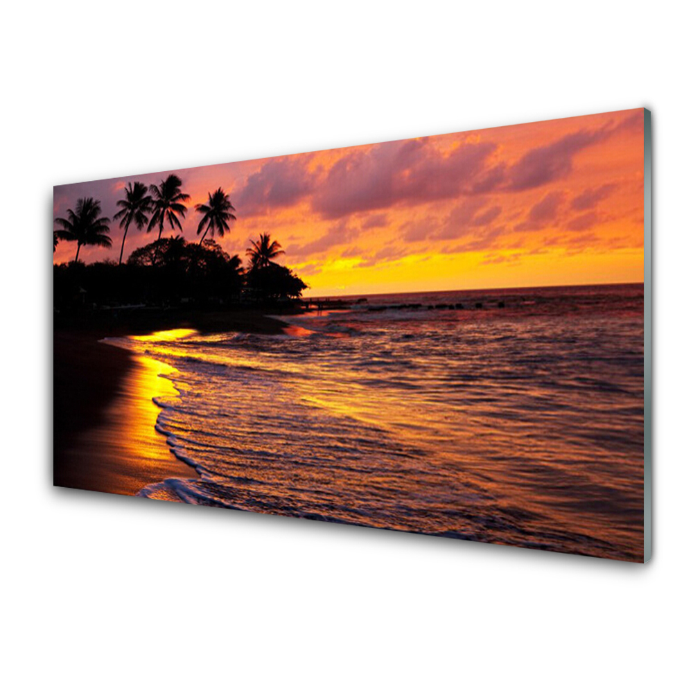 Skleněný obraz na stěnu Palmy na břehu moře