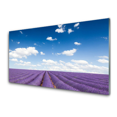 Skleněný obraz na zeď Levandulové pole a obloha