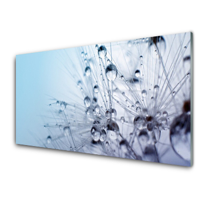 Luxusní skleněný obraz Pampelišková růže