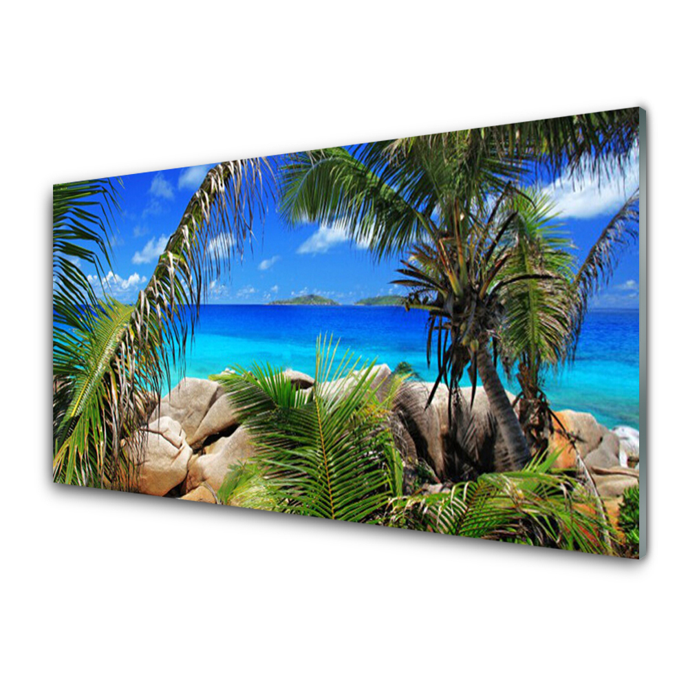 Luxusní skleněný obraz Skály pohled na moře