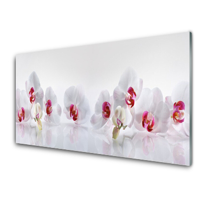 Skleněný obraz na zeď Bílé orchideje