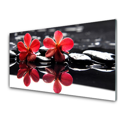 Moderní skleněný obraz Červené květy odrážející se ve vodě