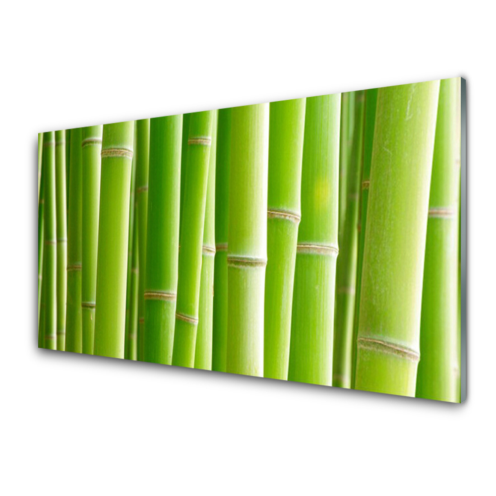Skleněný obraz Bambusové stonky
