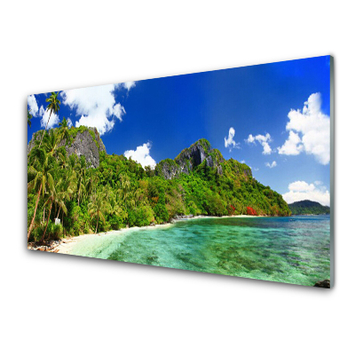 Obraz na skle Tropická pláž