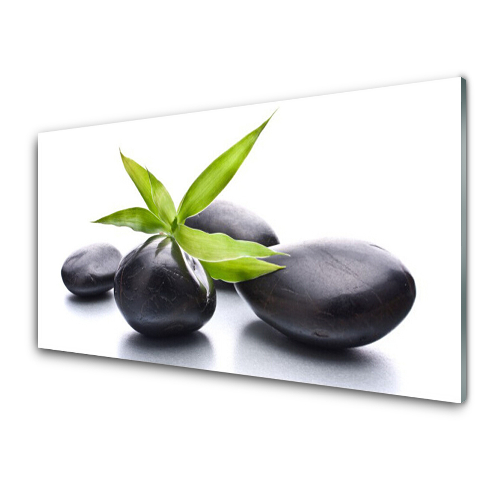Moderní skleněný obraz Kameny Listy Bílé pozadí
