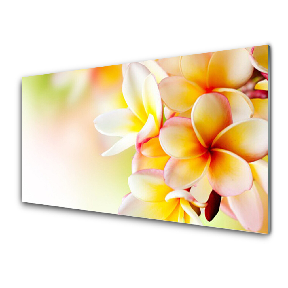 Obraz ze skla Detailní záběr na květiny