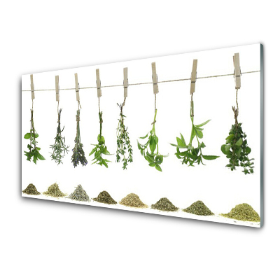 Skleněný obraz Bylinky a koření