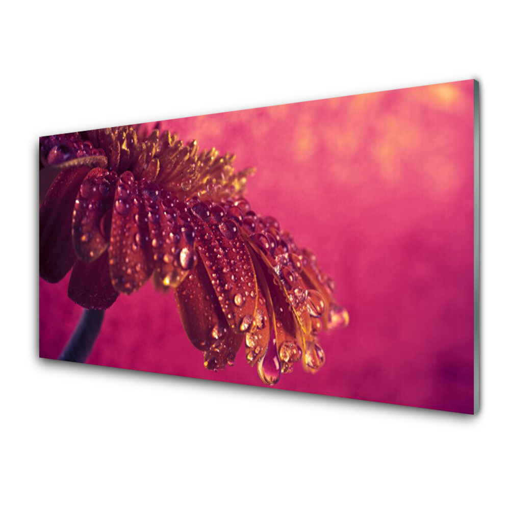 Skleněný obraz Květina a kapky vody