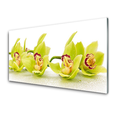 Skleněný obraz Exotické žluté květy