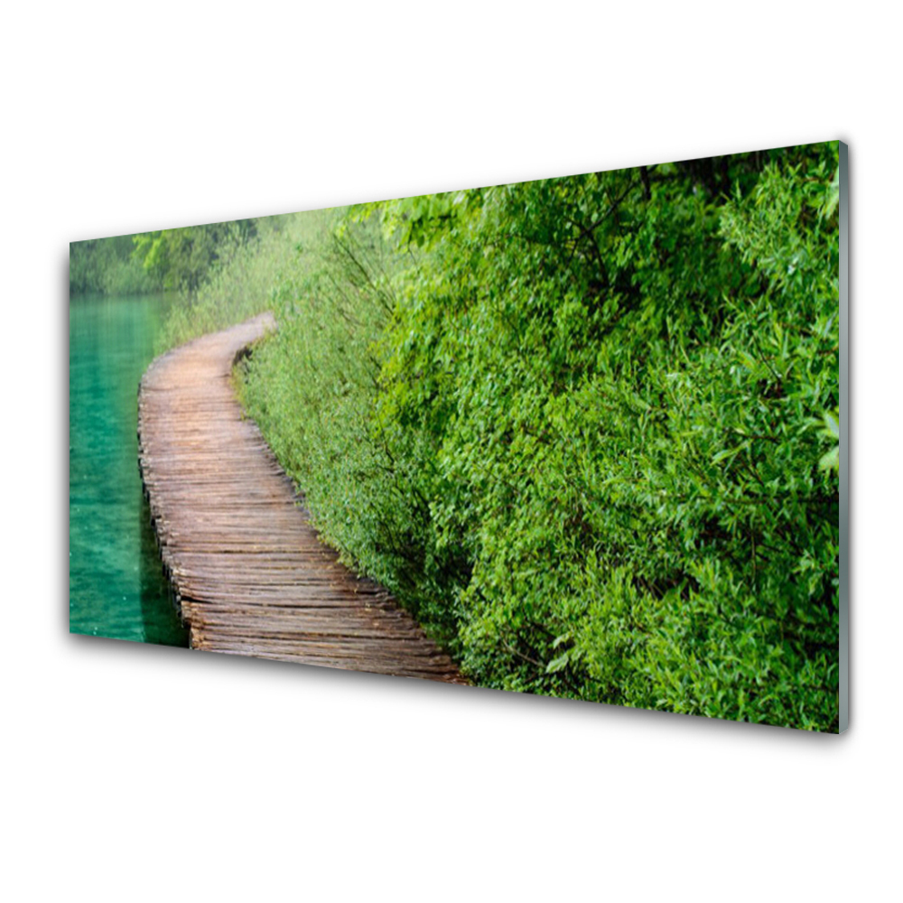 Luxusní skleněný obraz Most u zelených keřů