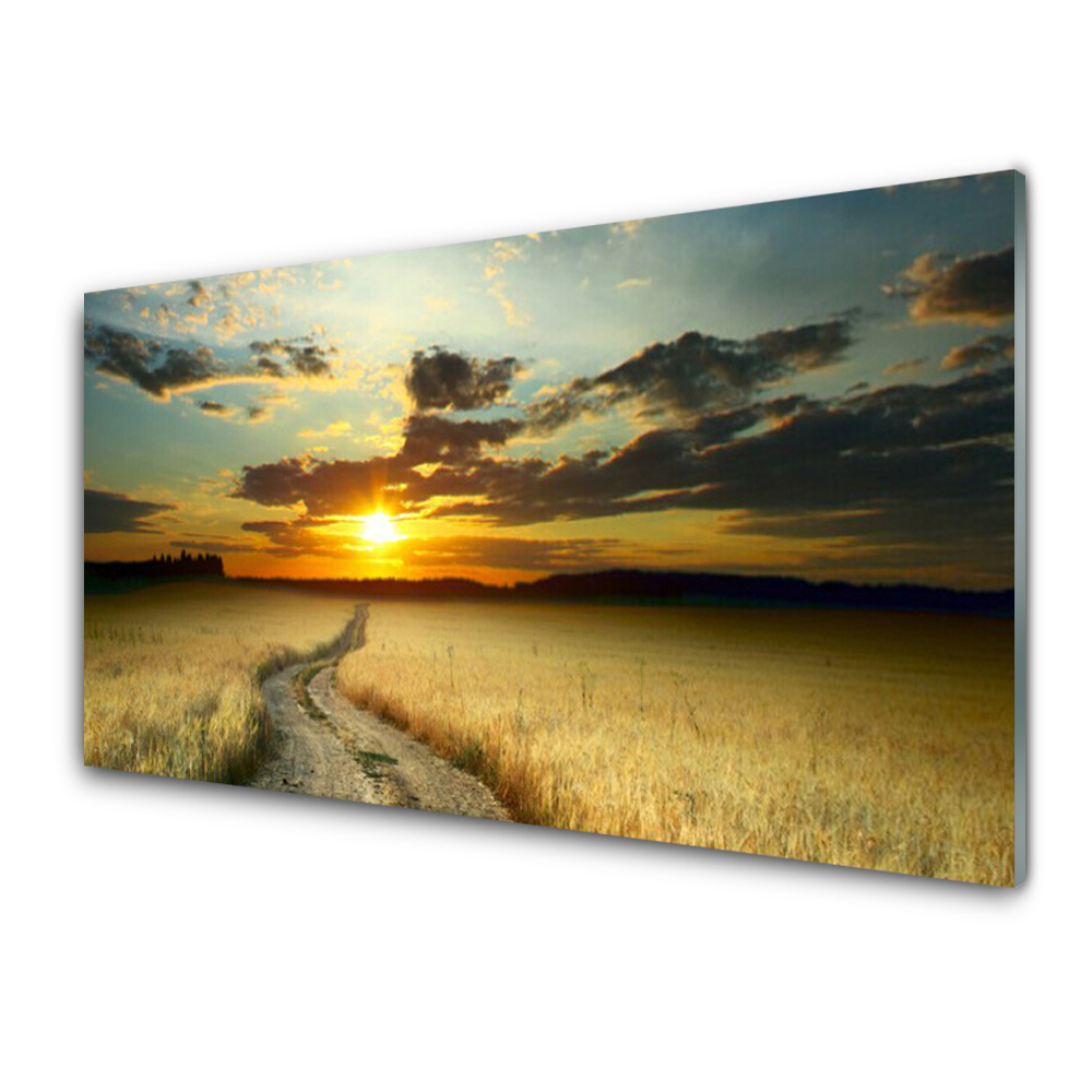 Luxusní skleněný obraz Cesta Pole Krajina