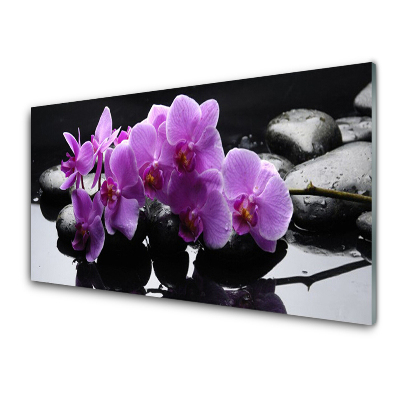 Obraz na skle Orchidej na pozadí kamenů