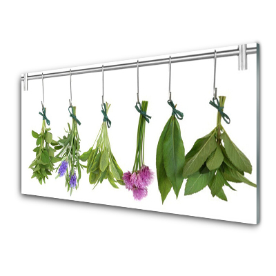 Moderní skleněný obraz Sušené bylinky do kuchyně