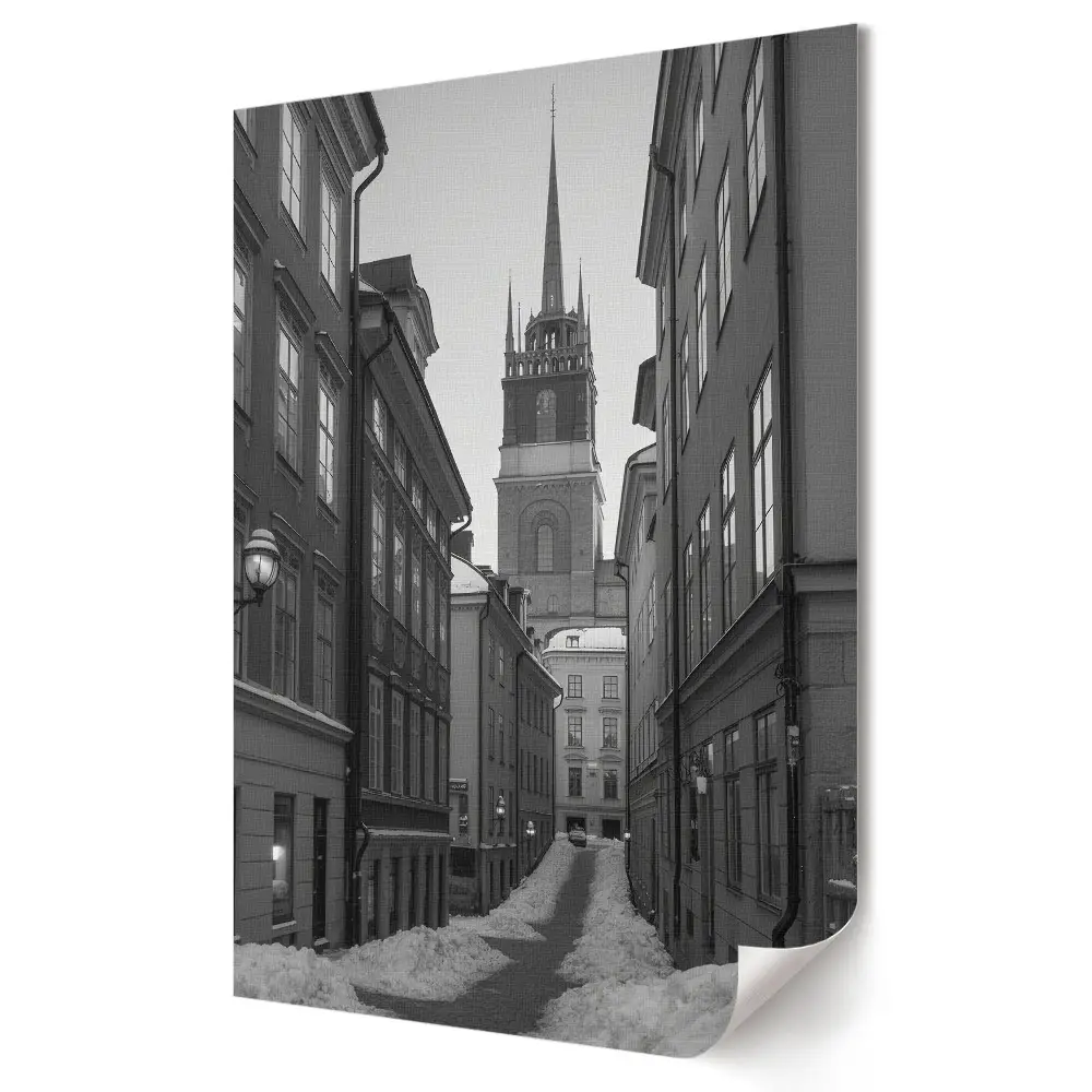 Nástěnný plakát Zimní krajina v monochromatické ulici