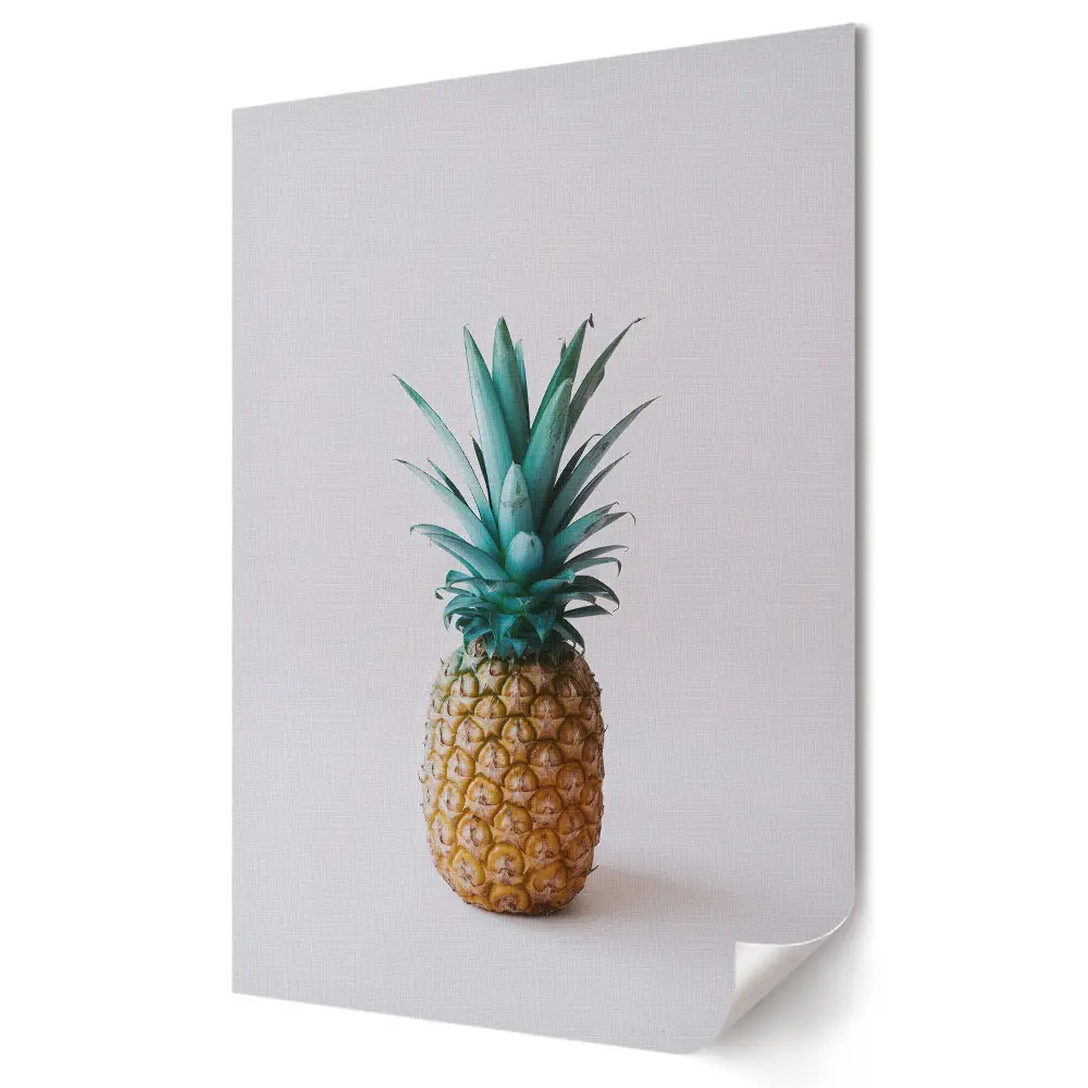 Nástěnná grafika na plátně Barevný ananas na minimalistickém pozadí