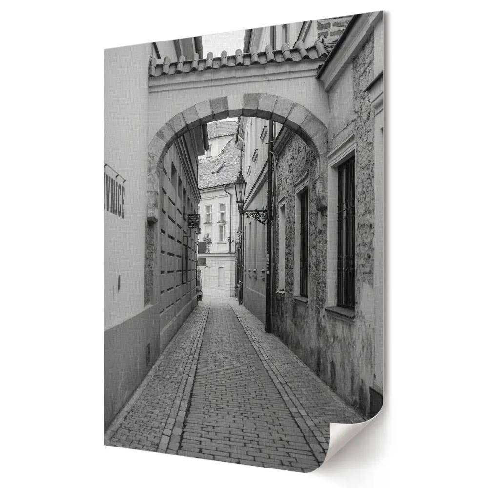 Nástěnná grafika na plátně Okouzlující ulička v monochromatickém provedení