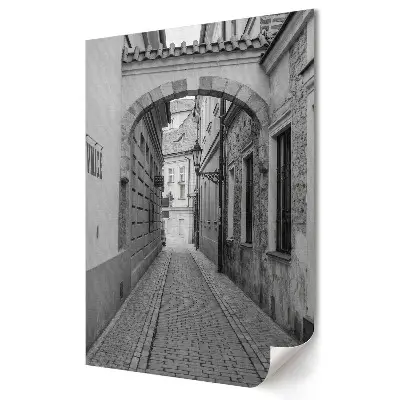 Nástěnná grafika na plátně Okouzlující ulička v monochromatickém provedení