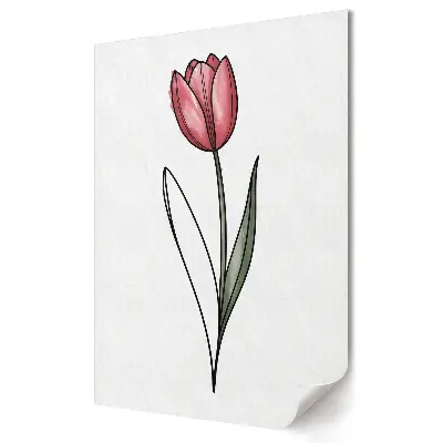 Moderní obraz na plátně Elegantní tulipán na bílém pozadí