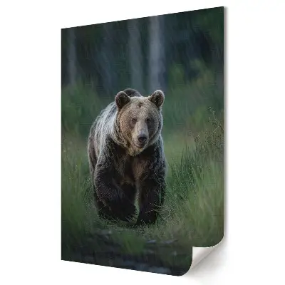 Plakát na zeď Grizzly ve svém přirozeném prostředí