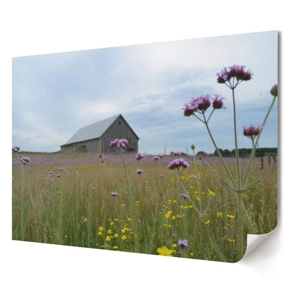 Prémiový nástěnný plakát Květiny na poli vedle dřevěného domu