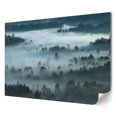 Prémiový nástěnný plakát Panorama mlžného lesa při východu slunce