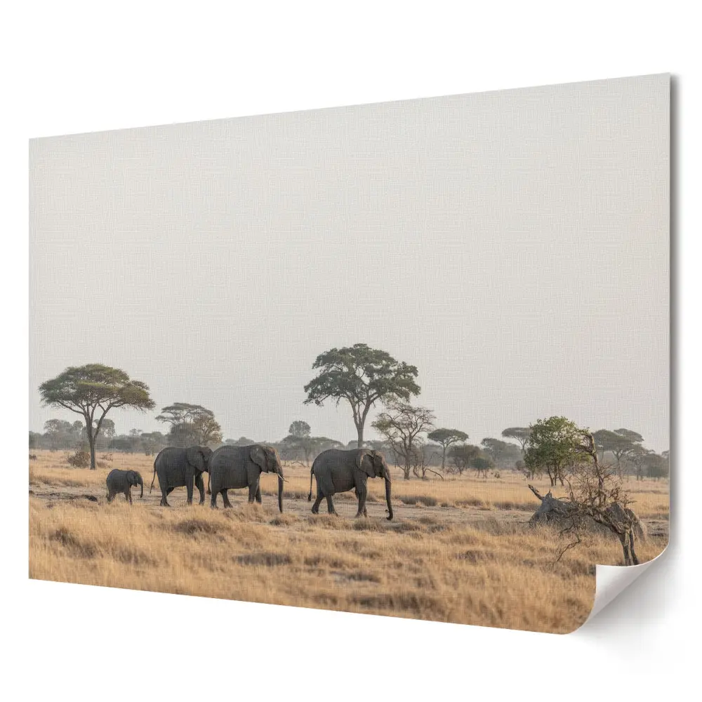 Odolný plakát na zeď Stádo slonů na africké savaně