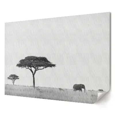 Plakát z vlastní fotografie Idylická krajina s africkým slonem
