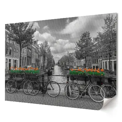 Prémiový nástěnný plakát Kola a tulipány v Amsterdamu