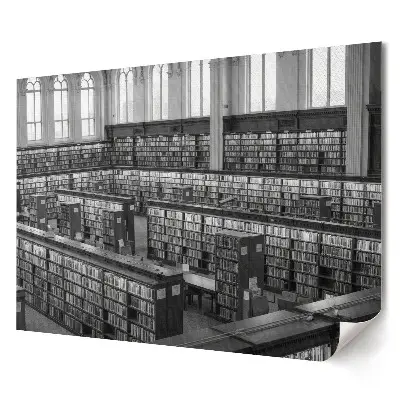 Odolný plakát na zeď Knihovna plná monochromatických knih