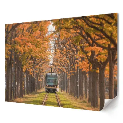 Stylový plakát na zeď Tramvaj v podzimní aleji stromů