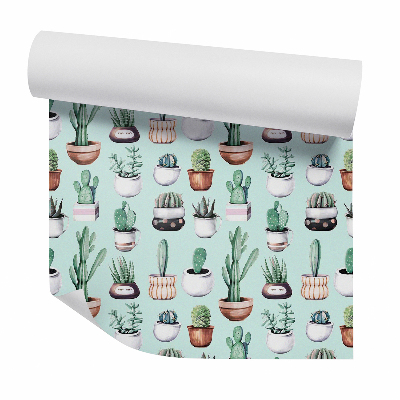 Samolepící tapeta 3D kaktusy v květináčích