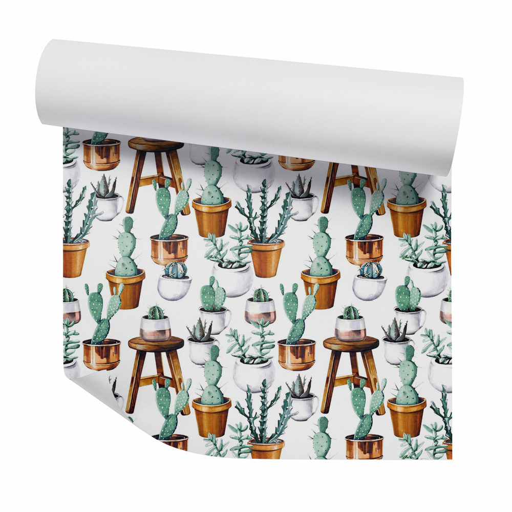 Tapeta Kaktusy v hnědých květináčích