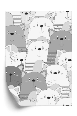 Samolepící tapeta Roztomilé kočky