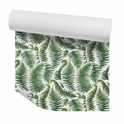 Tapeta Zelené listy kapradí