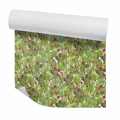 Samolepící tapeta Kaktusy s červenými květy