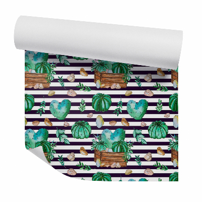 Tapeta na zeď Kaktusy a oblázky na pruhovaném pozadí