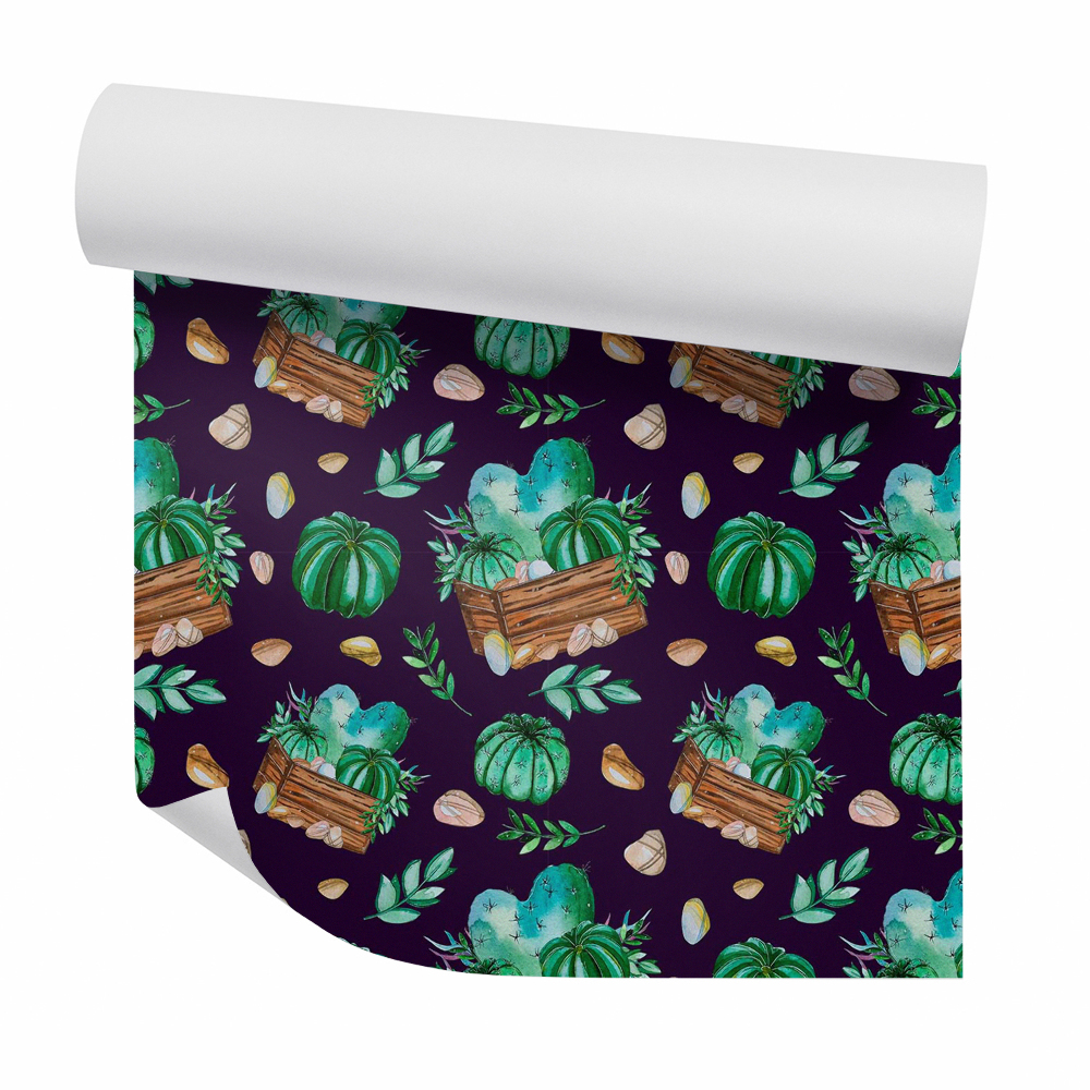 Samolepící tapeta Kaktusy v dřevěných květináčích tmavé