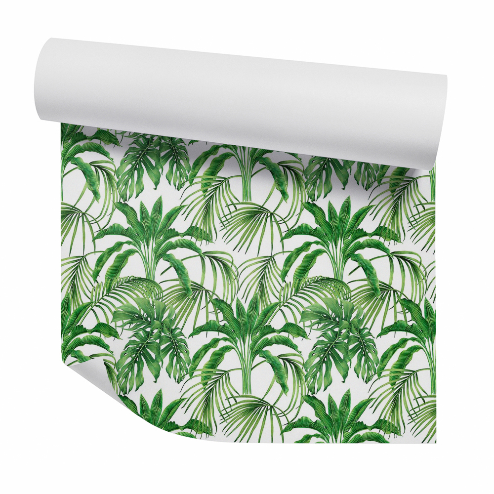 Tapeta na zeď Exotické kapradiny