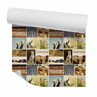 Tapeta Zvířata v savaně ve čtvercích