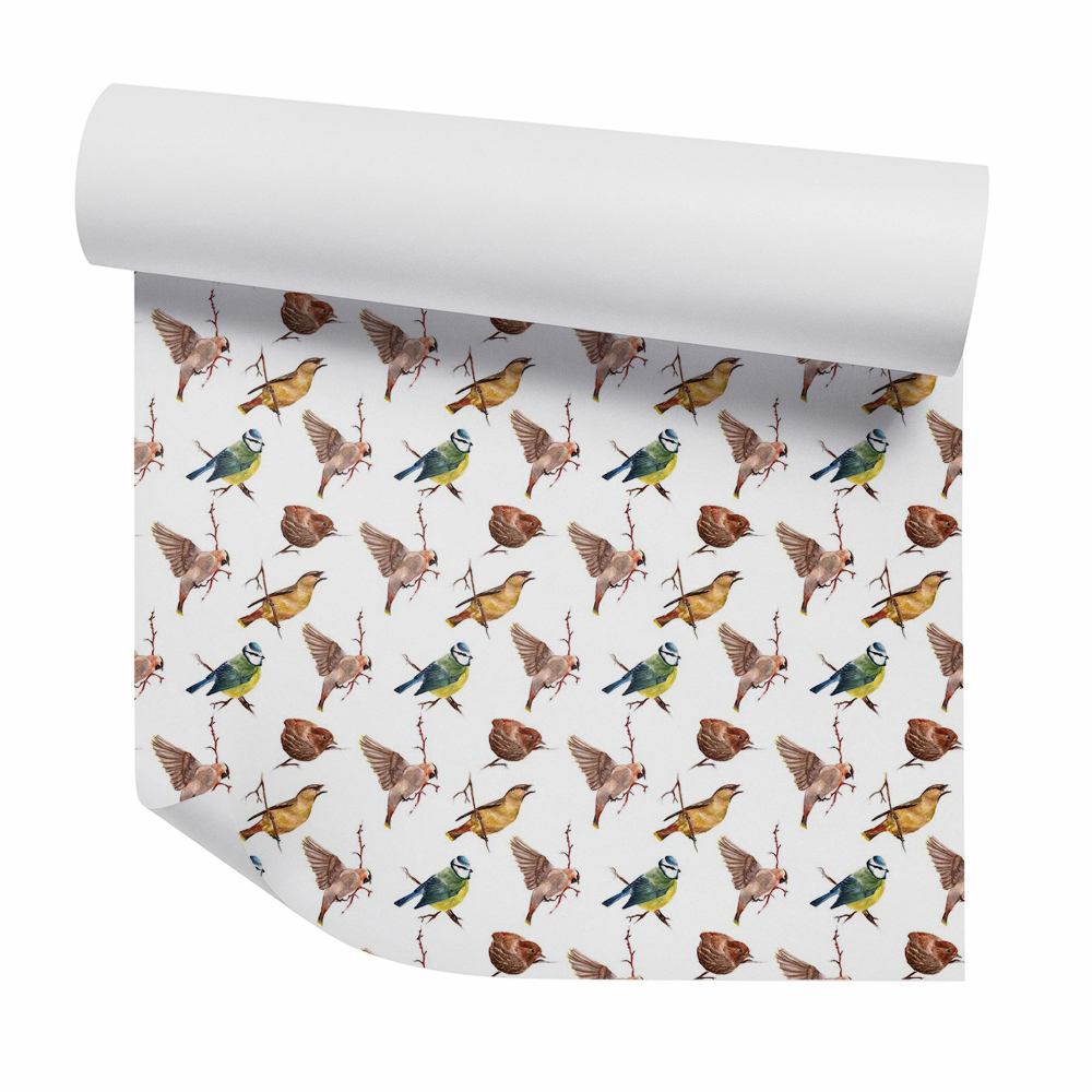 Samolepící tapeta Vrabci a další ptáci