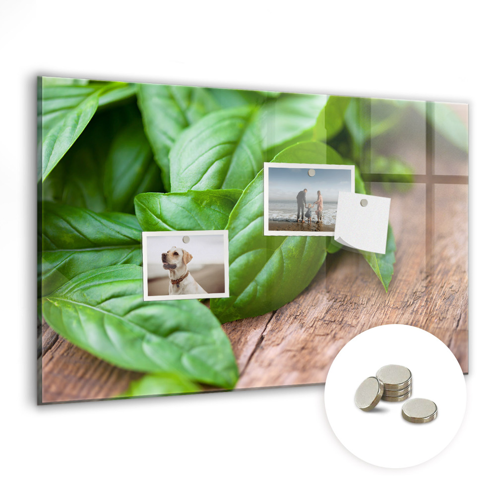 Nástěnka magnetická Listy bazalky