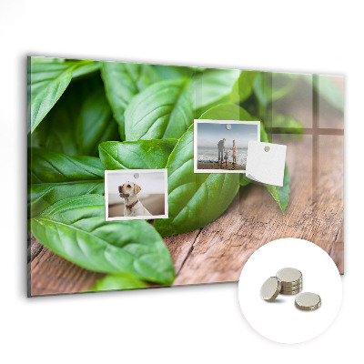 Nástěnka magnetická Listy bazalky