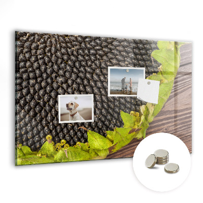 Magnetická tabule na zeď Slunečnice